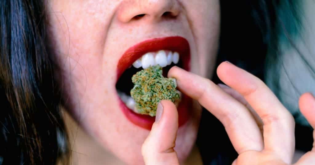 You can eat raw marijuana flower to receive some of the medical benefits without the high.  This is a great option for some medical marijuana users.