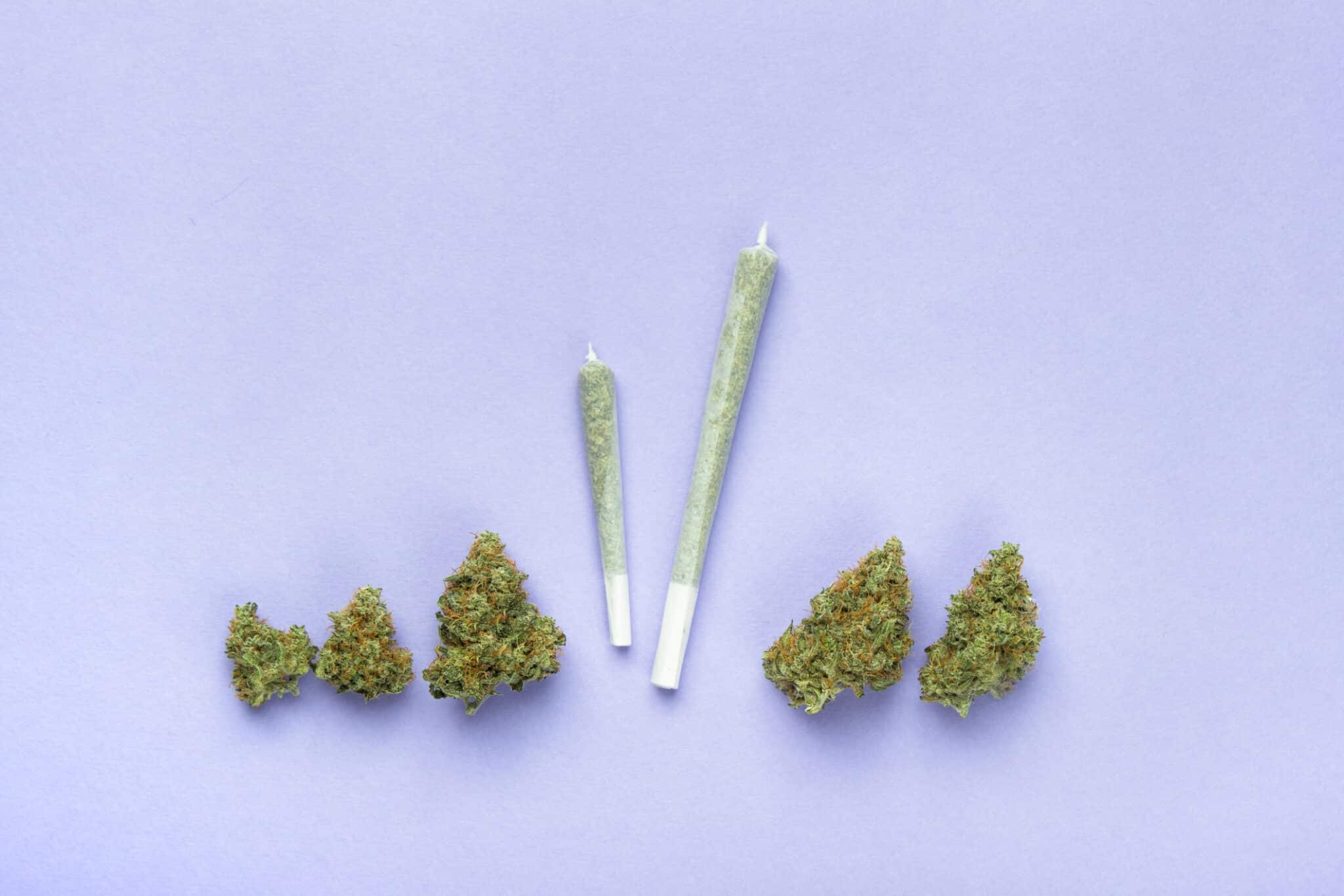 5 Cannabis strains next to two joints.